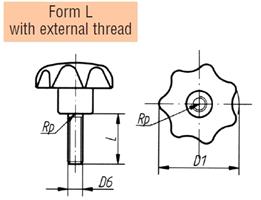 Form L